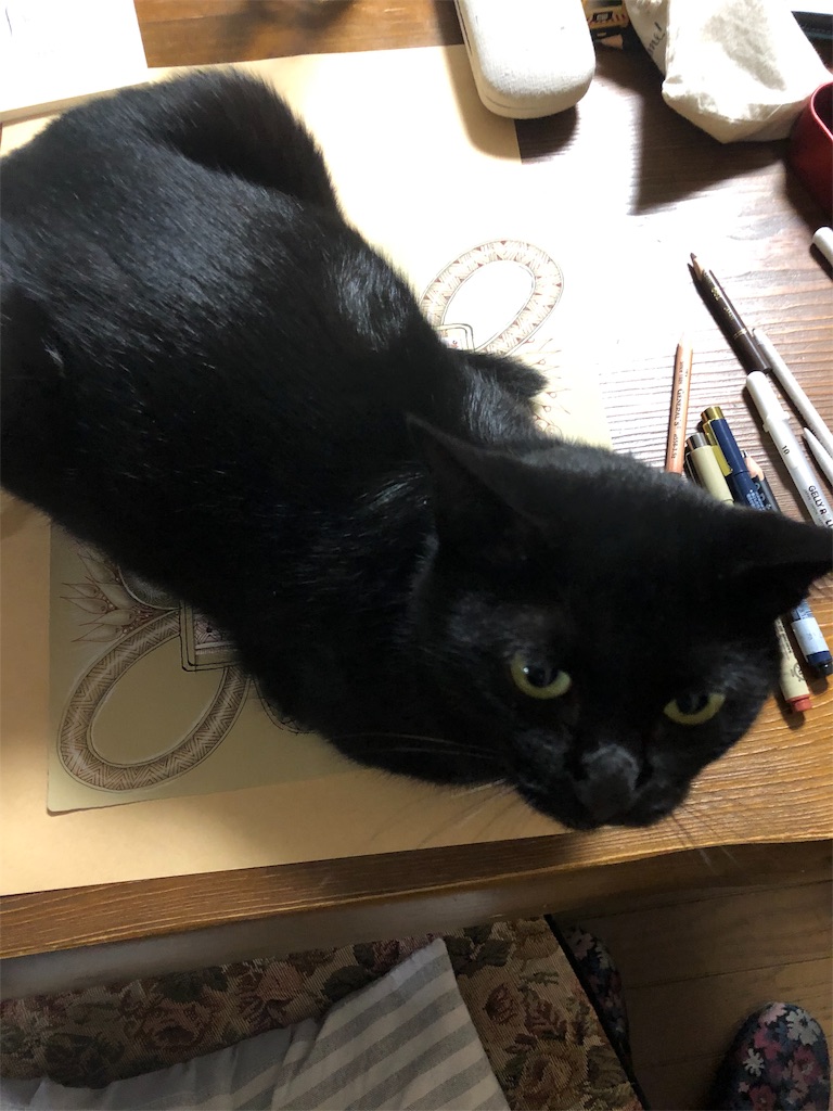 f:id:midorish:20191011183945j:image
