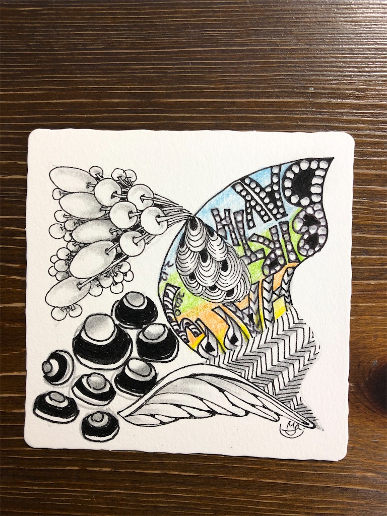 f:id:midorish:20200219090924j:image