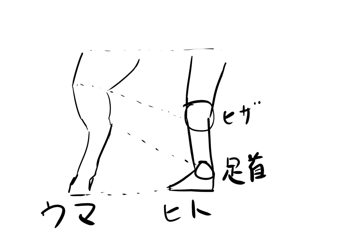 f:id:midorism64:20191116205343p:plain