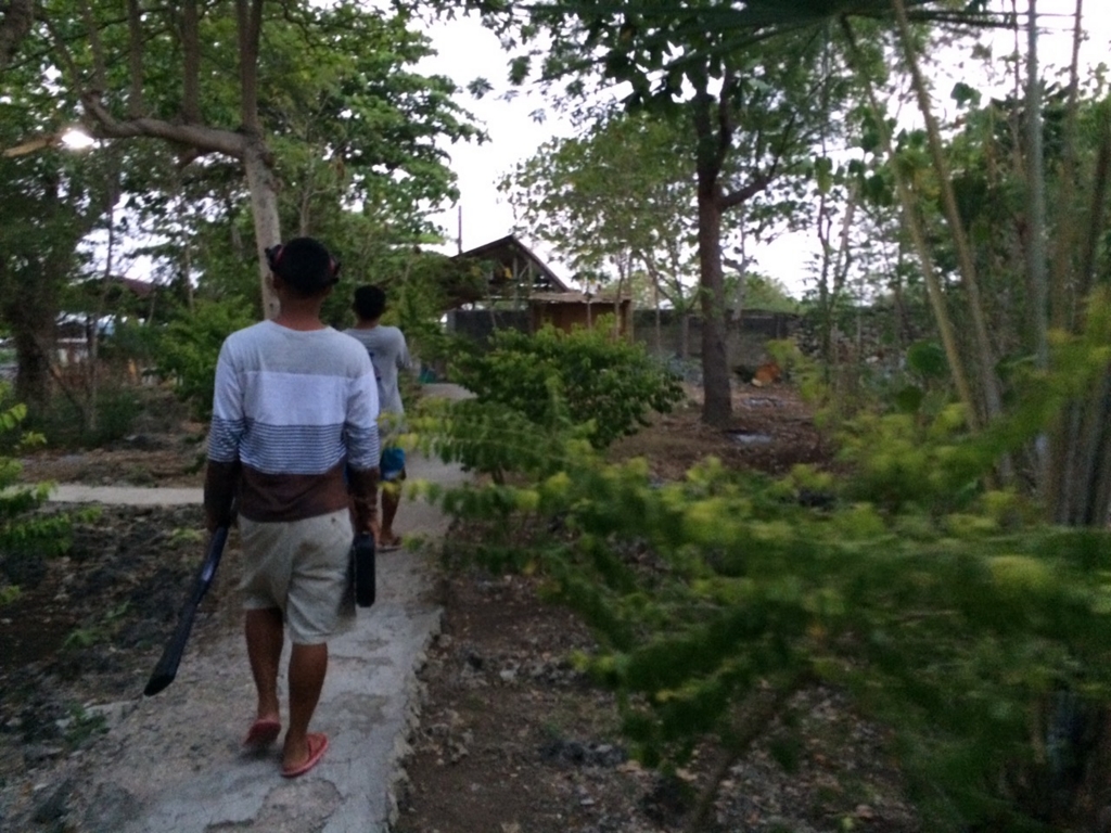 f:id:midorisp:20150705180057j:plain f:id:midorisp:20150705180057j:plain