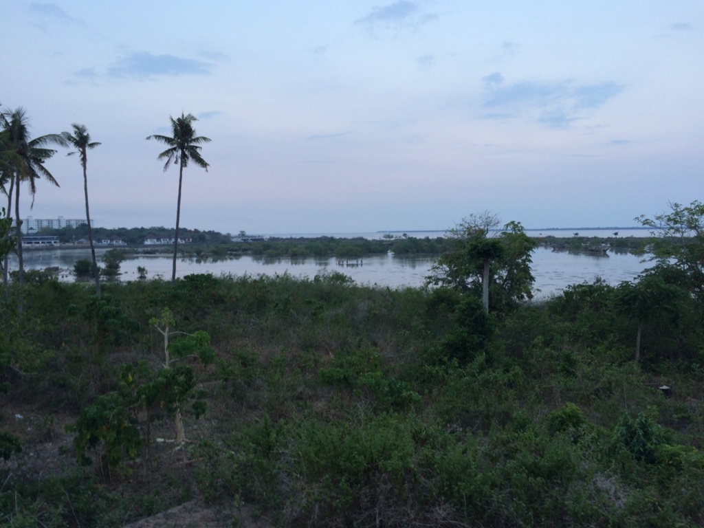 f:id:midorisp:20150705180134j:plain f:id:midorisp:20150705180134j:plain