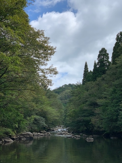 f:id:midorisuke:20200702153844j:plain