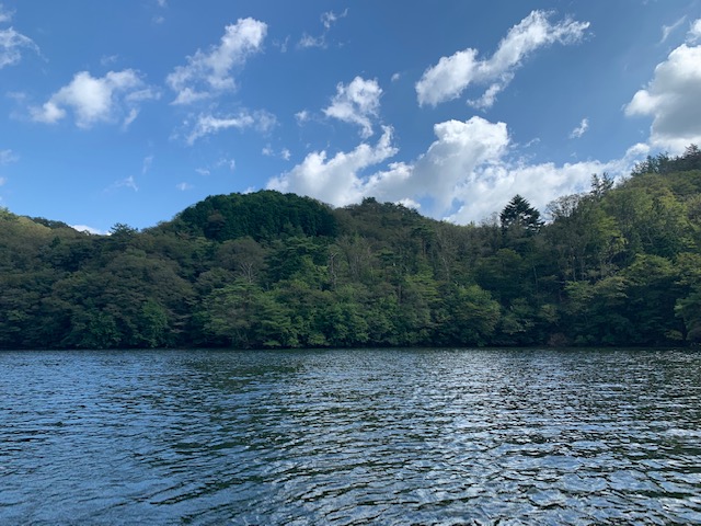 f:id:midorisuke:20200702153905j:plain