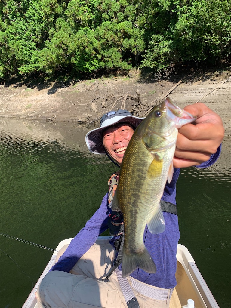 f:id:midorisuke:20200925102803j:image