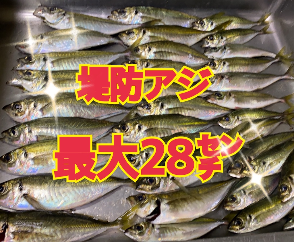 f:id:midorisuke:20201209165042j:image f:id:midorisuke:20201209165042j:image