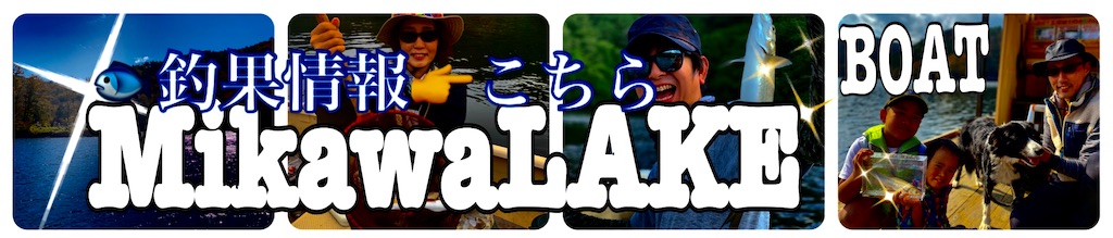 f:id:midorisuke:20201218063739j:image f:id:midorisuke:20201218063739j:image