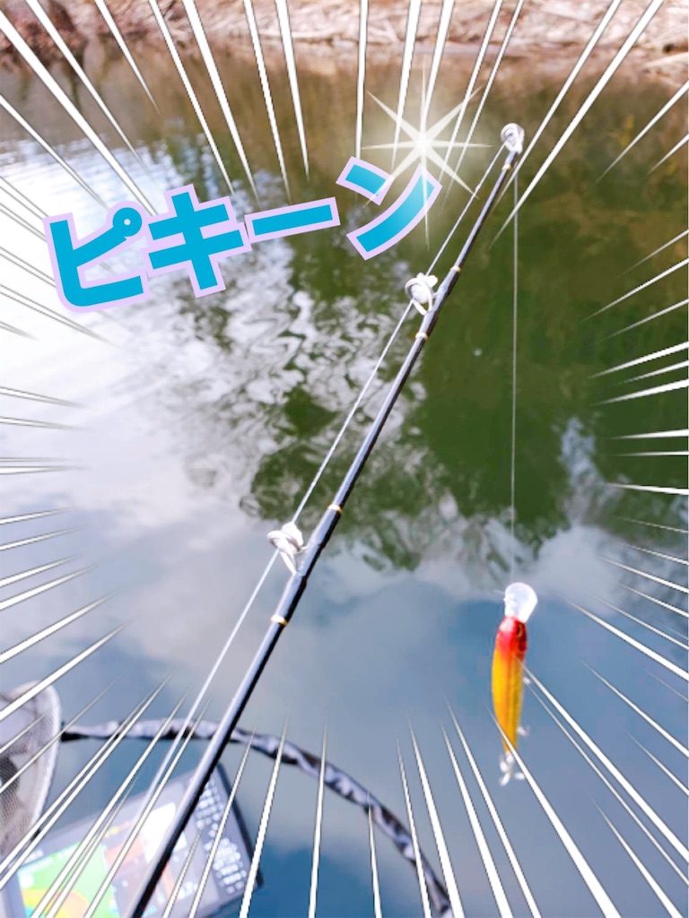 f:id:midorisuke:20210110161531j:image f:id:midorisuke:20210110161531j:image