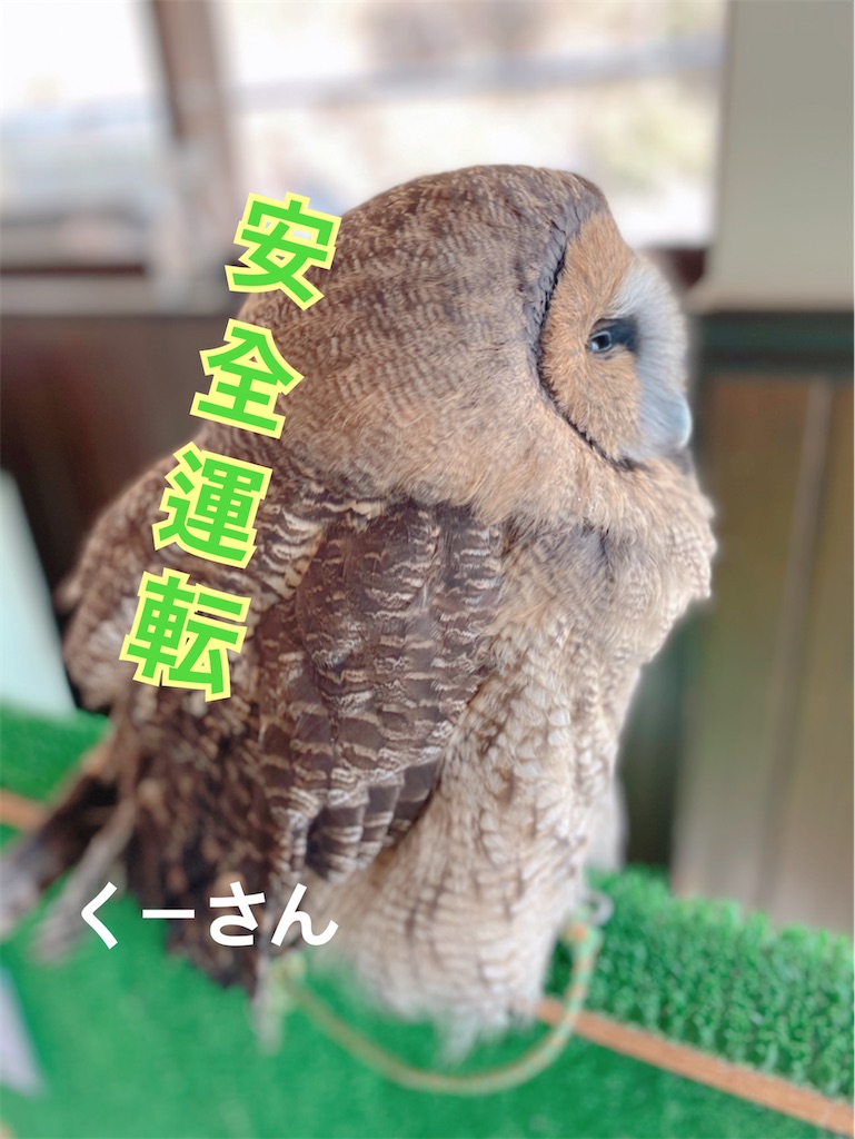 f:id:midorisuke:20210130122407j:image f:id:midorisuke:20210130122407j:image