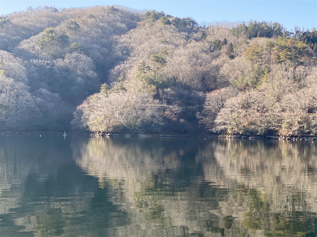 f:id:midorisuke:20210206084632j:image