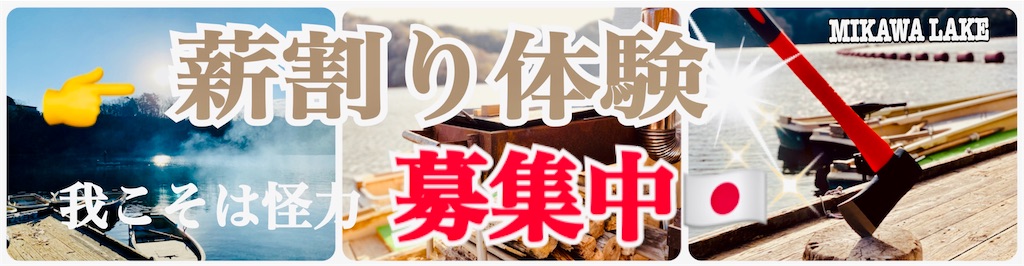 f:id:midorisuke:20210221154356j:plain