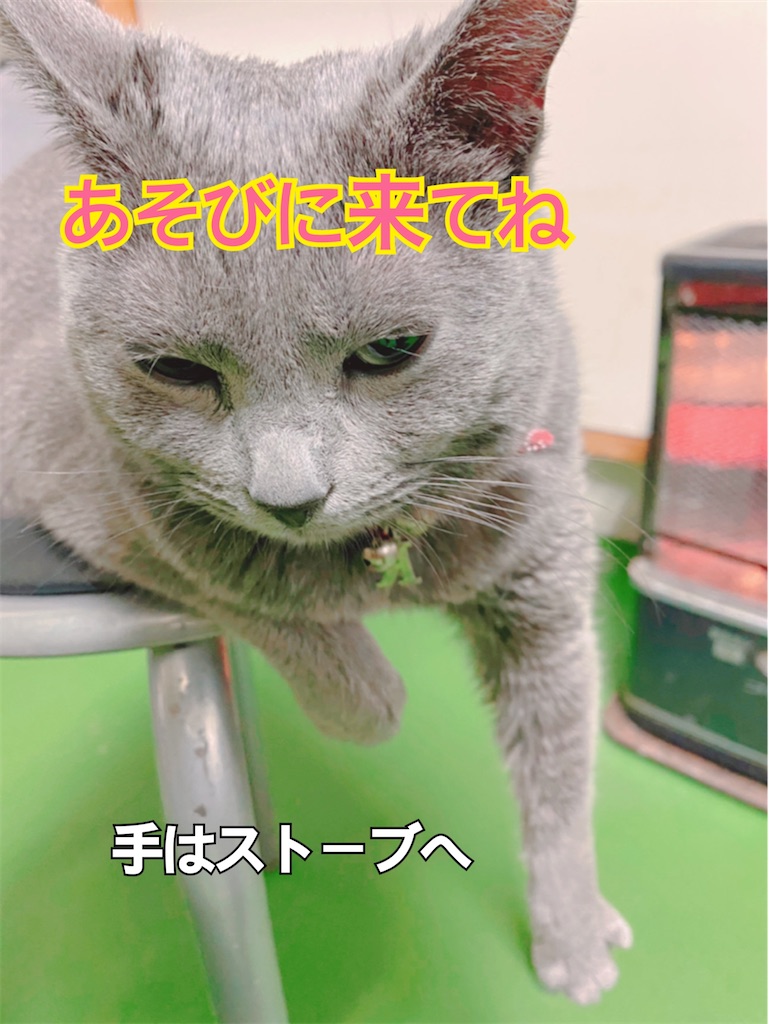 f:id:midorisuke:20210226130918j:image