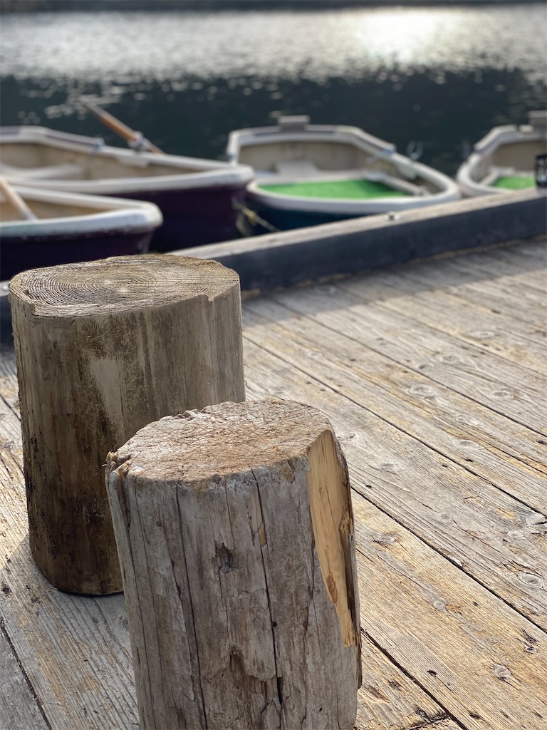 f:id:midorisuke:20210227081101j:image f:id:midorisuke:20210227081101j:image