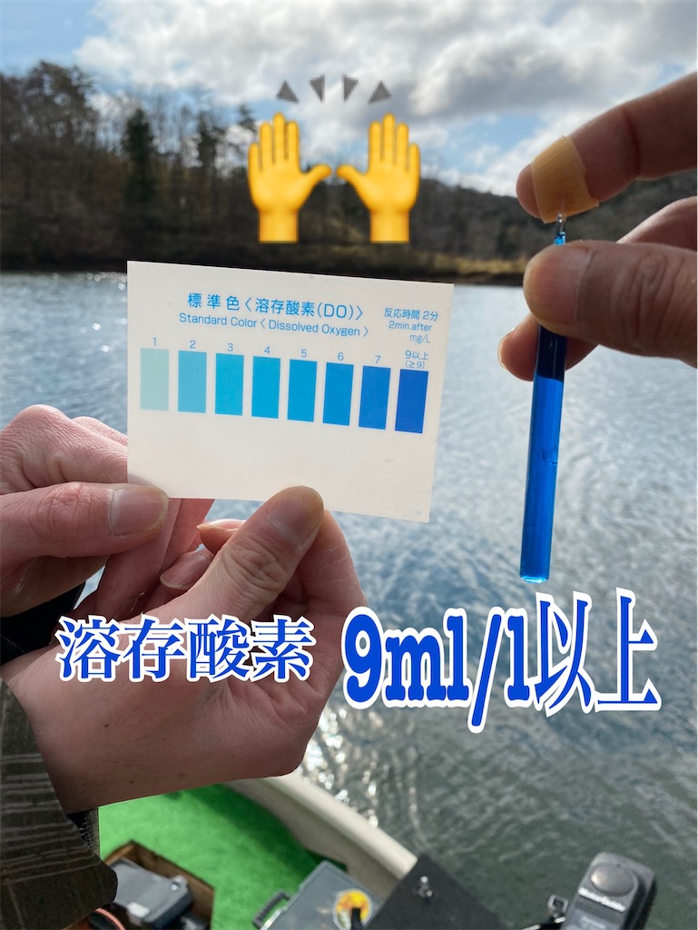 f:id:midorisuke:20210306152326j:image f:id:midorisuke:20210306152326j:image
