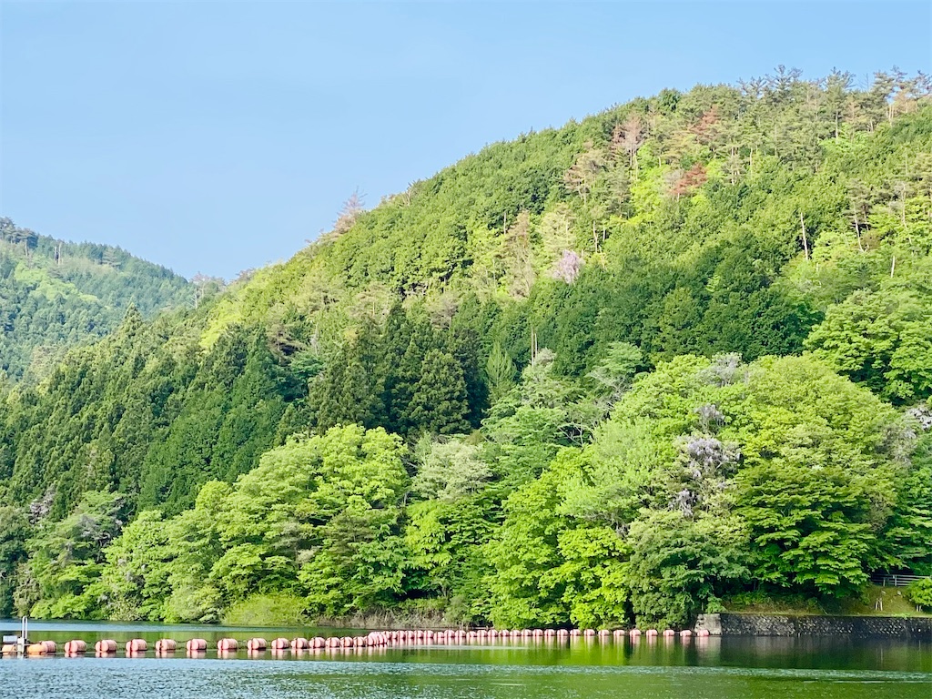 f:id:midorisuke:20210508174432j:plain