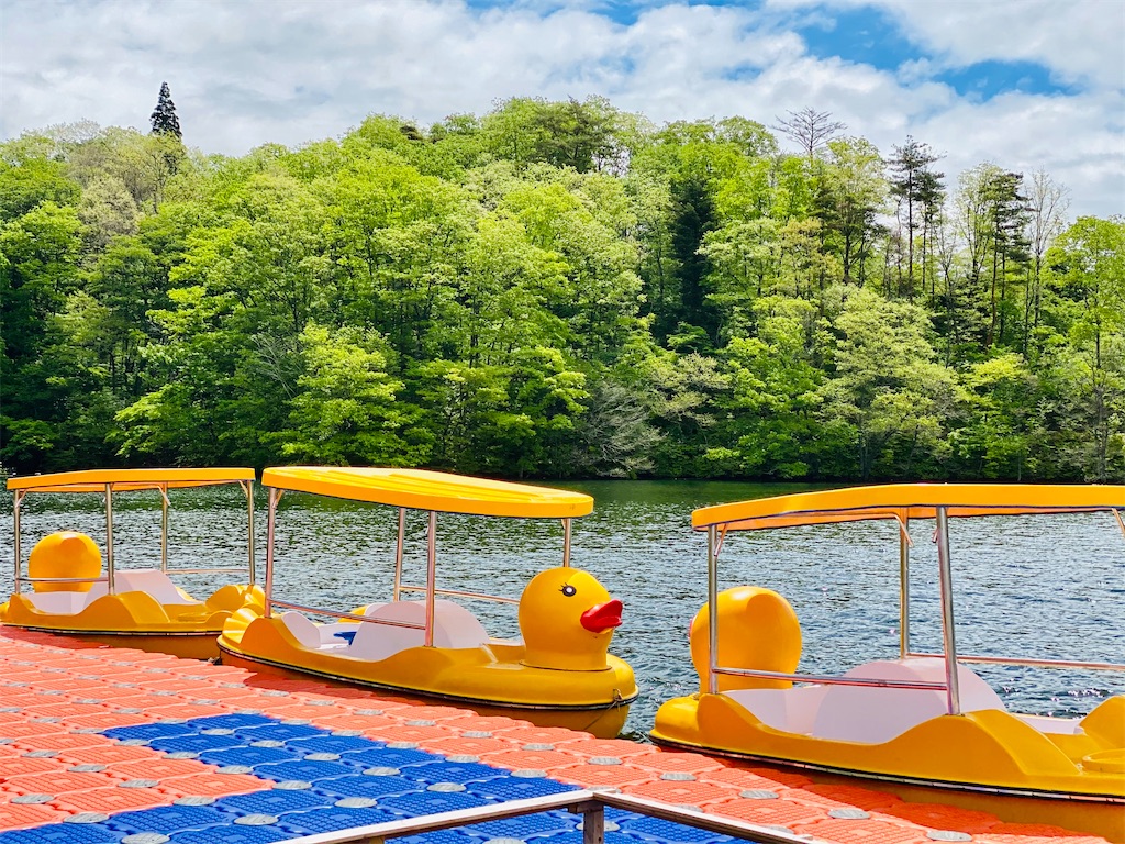 f:id:midorisuke:20210516061332j:image f:id:midorisuke:20210516061332j:image