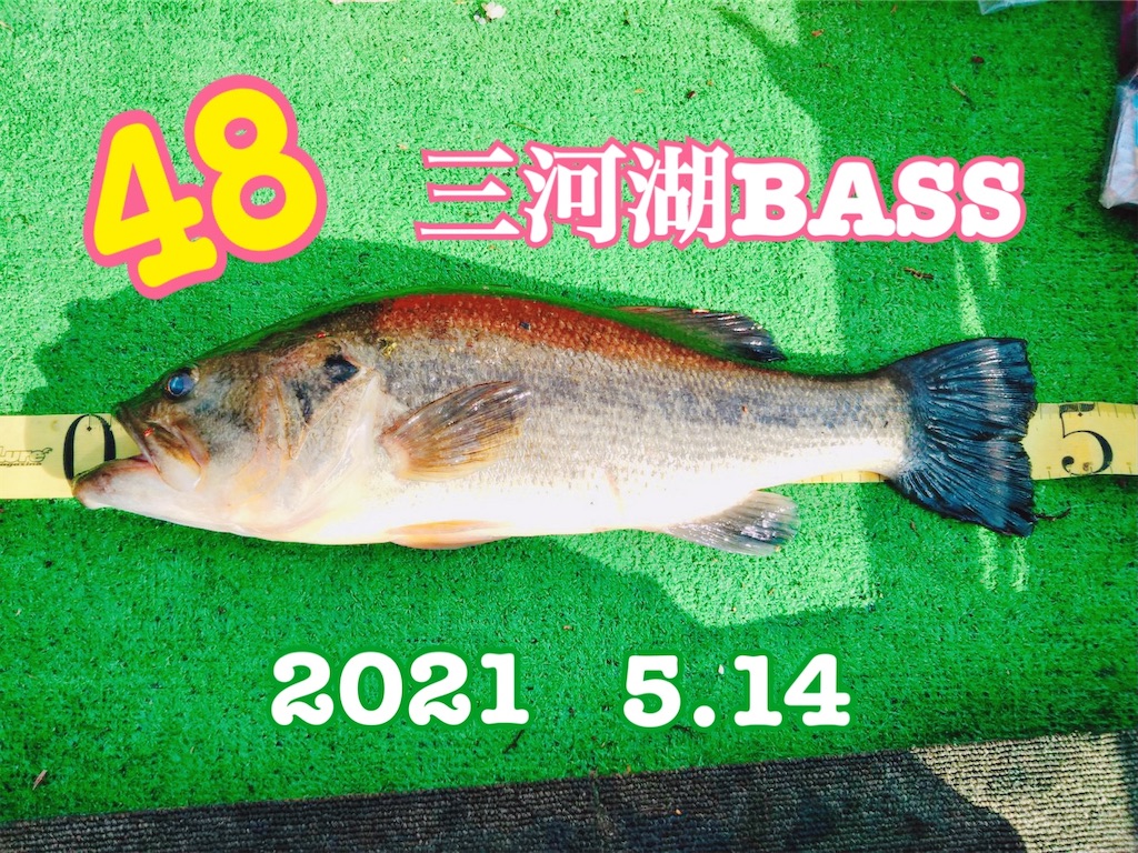 f:id:midorisuke:20210516061826j:image f:id:midorisuke:20210516061826j:image