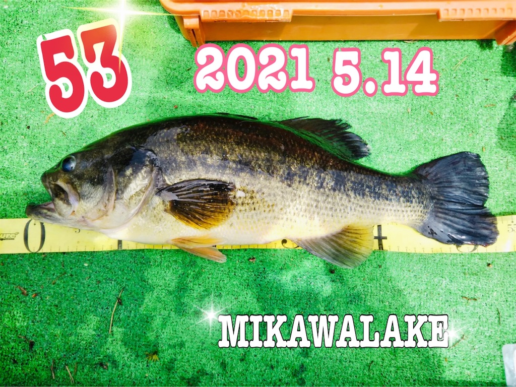 f:id:midorisuke:20210516061830j:image f:id:midorisuke:20210516061830j:image