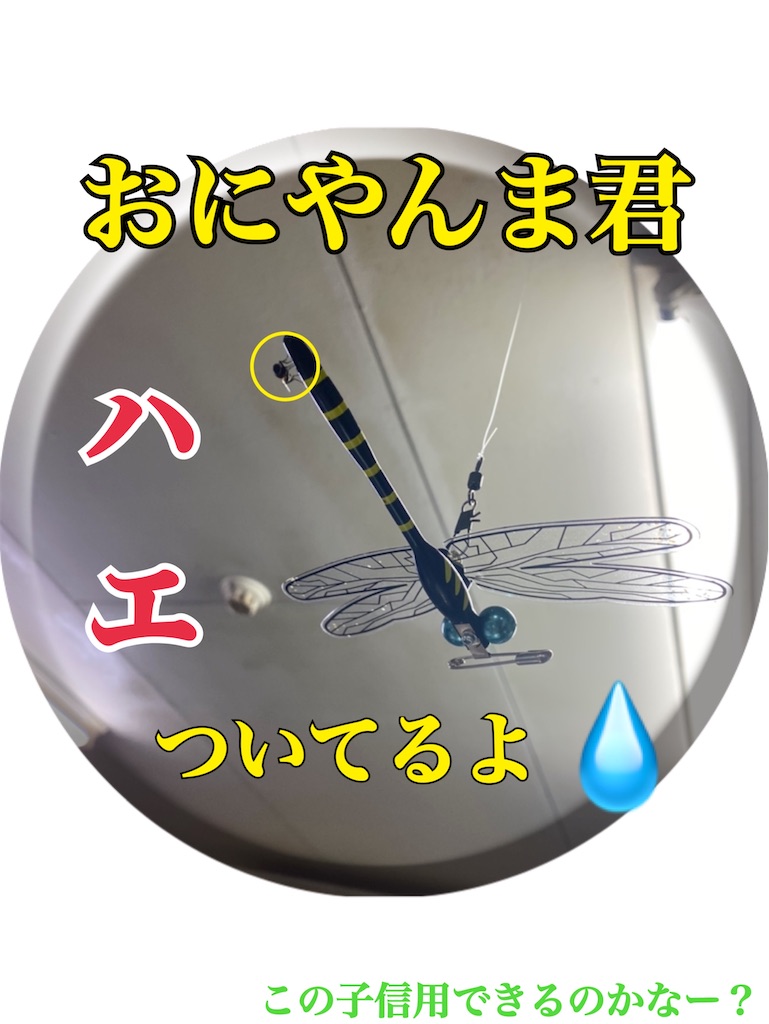 f:id:midorisuke:20210617182500j:image f:id:midorisuke:20210617182500j:image