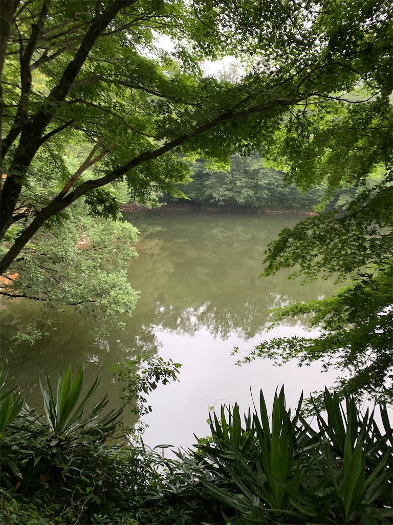 f:id:midorisuke:20210617204619j:image f:id:midorisuke:20210617204619j:image