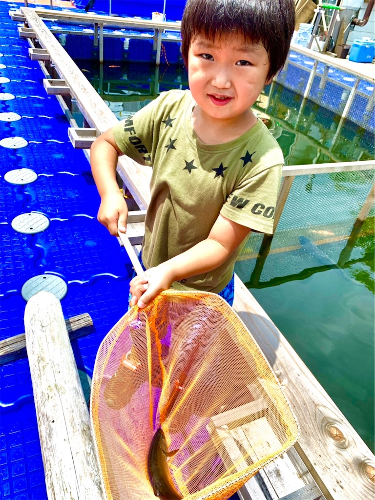 f:id:midorisuke:20210727102243j:image