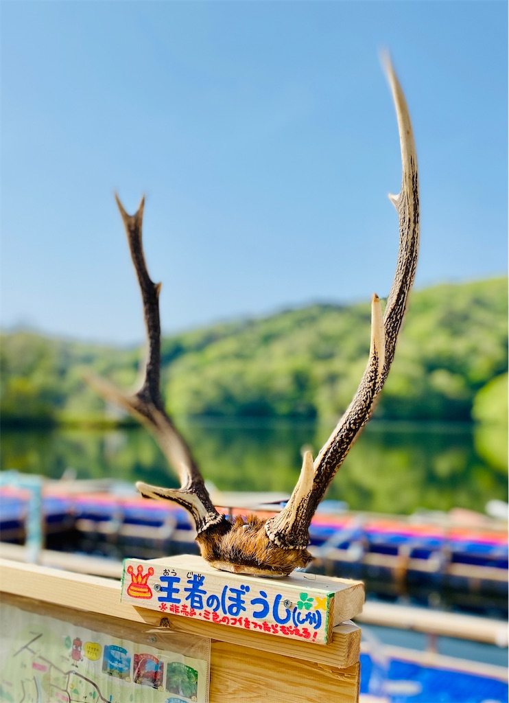 f:id:midorisuke:20210727103405j:image