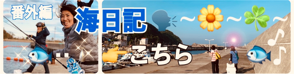 f:id:midorisuke:20210825085321j:image