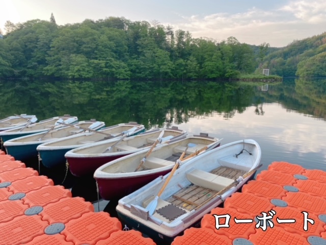 f:id:midorisuke:20210904075815j:plain