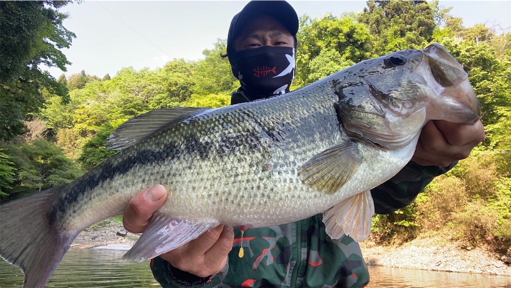 三河湖ブラックバス動画紹介 By黒助さん 三河湖ボート みどりすけの日記 三河湖ブラックバス動画紹介 By黒助さん 三河湖ボート みどりすけの日記