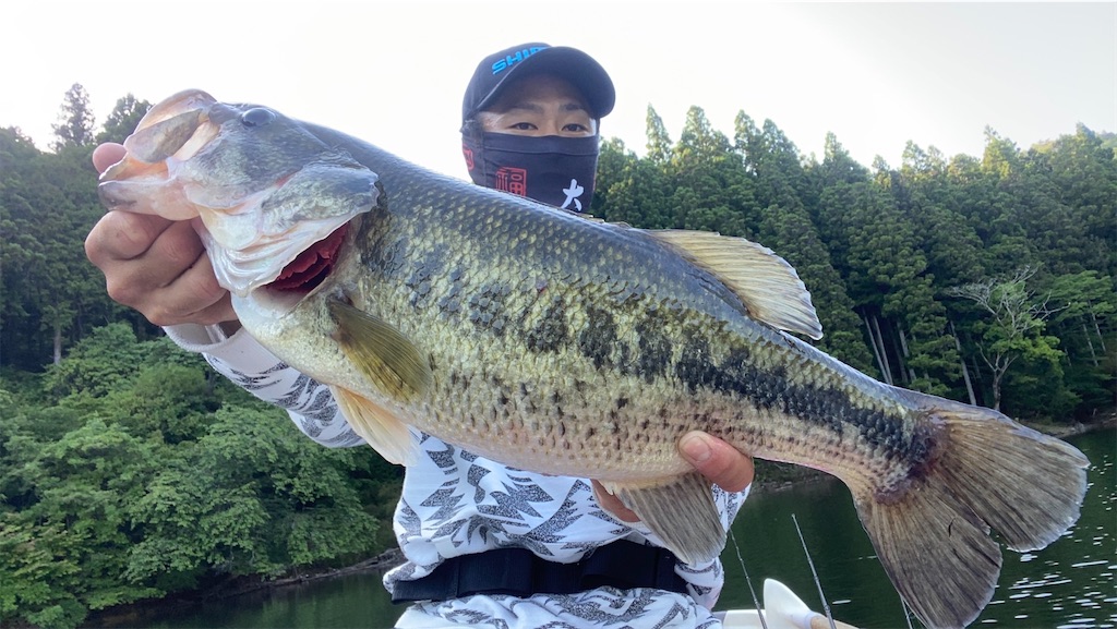 黒助さん動画紹介パート 三河湖ブラックバス 三河湖ボート みどりすけの日記 黒助さん動画紹介パート 三河湖ブラックバス 三河湖ボート みどりすけの日記