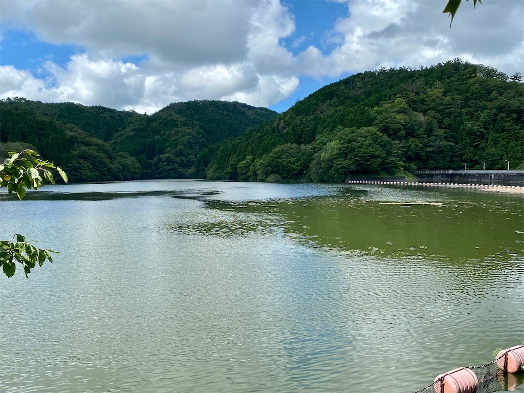 f:id:midorisuke:20220728135324j:image