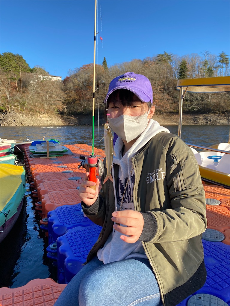 f:id:midorisuke:20221202064758j:image