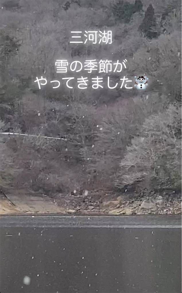 f:id:midorisuke:20221217160354j:image