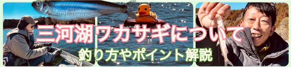 f:id:midorisuke:20230303153233j:image