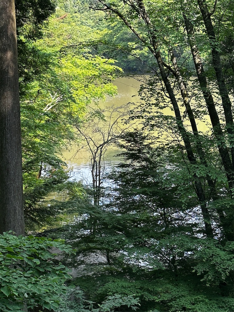 f:id:midorisuke:20230608101148j:image