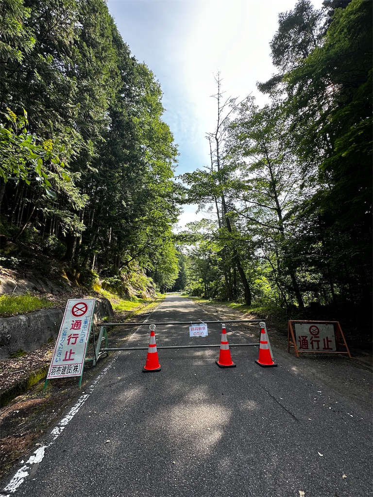 f:id:midorisuke:20230608101201j:image