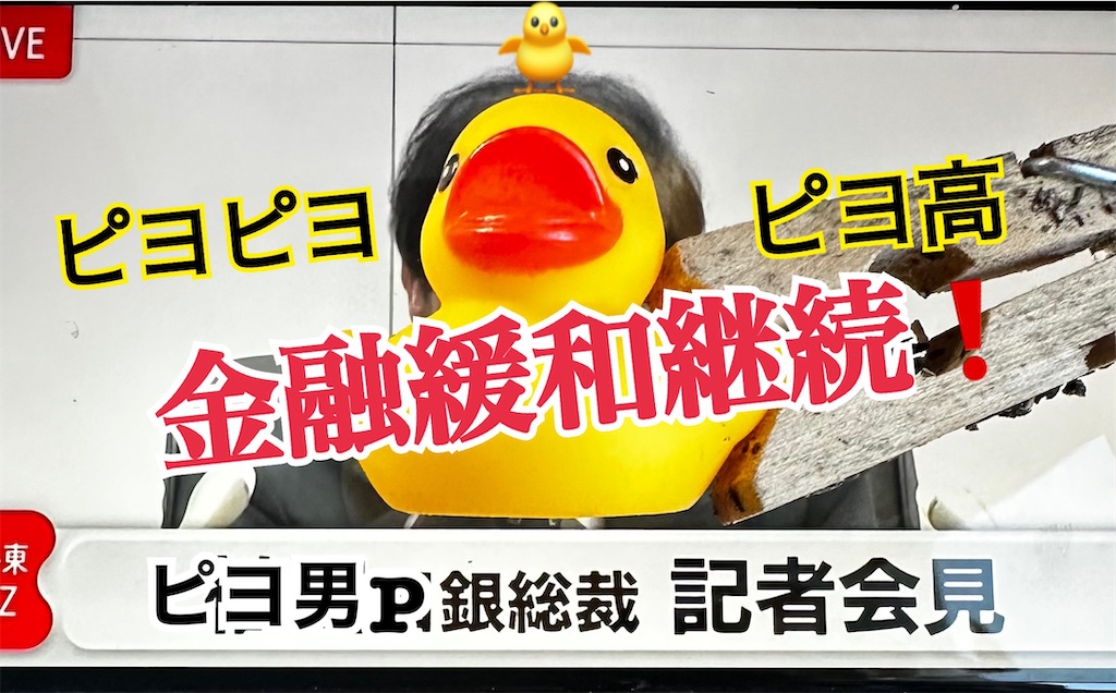 f:id:midorisuke:20230616171741j:image f:id:midorisuke:20230616171741j:image