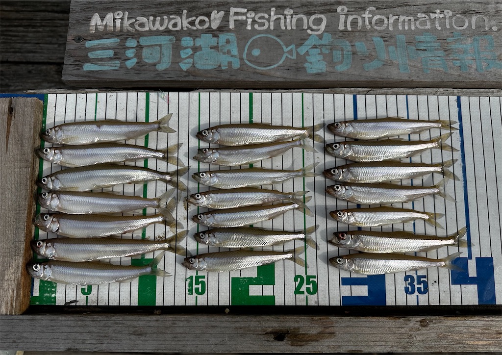 f:id:midorisuke:20230624171911j:image