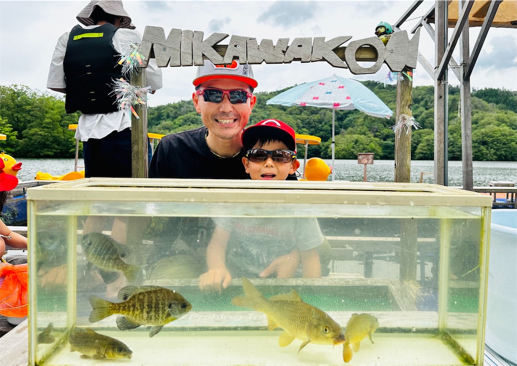 f:id:midorisuke:20230624171941j:image