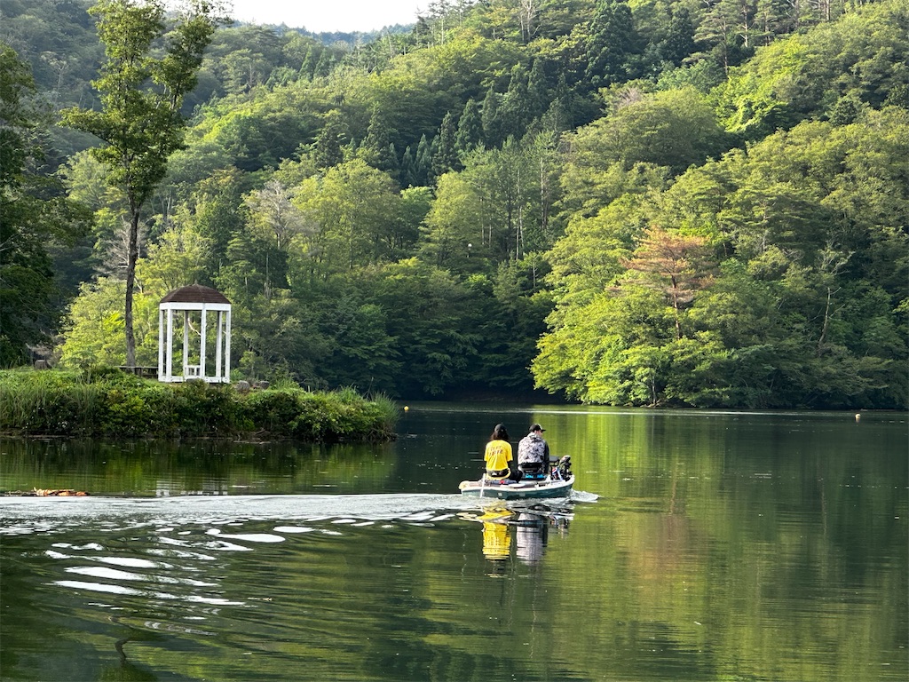 f:id:midorisuke:20230625070350j:image