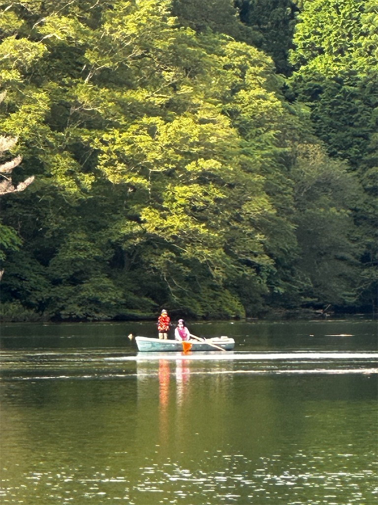 f:id:midorisuke:20230625070406j:image