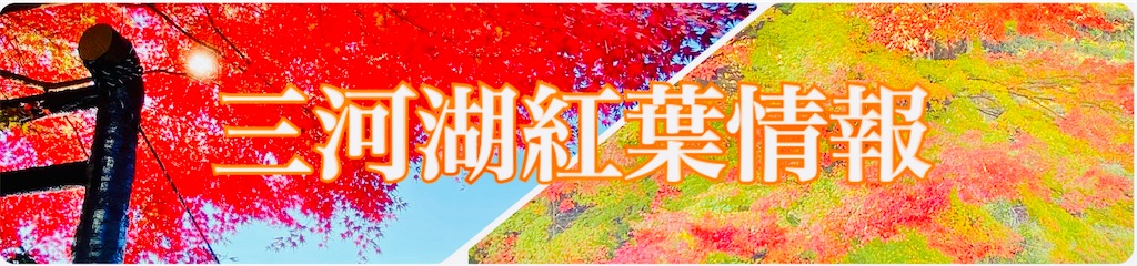 f:id:midorisuke:20231013080923j:image