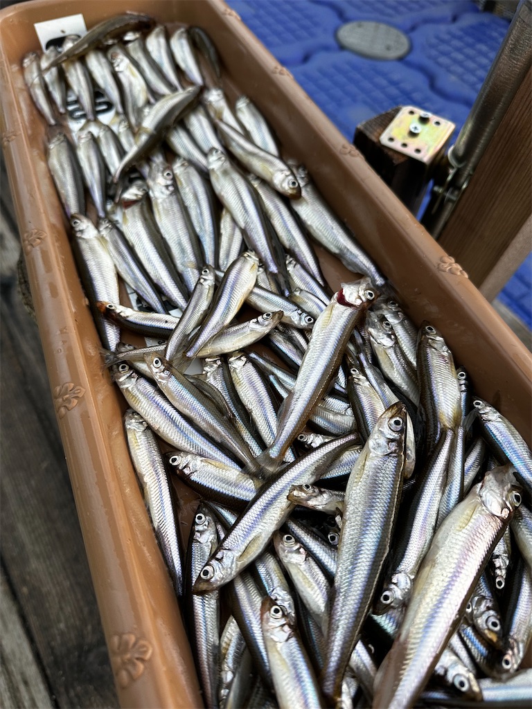 f:id:midorisuke:20240121181454j:image f:id:midorisuke:20240121181454j:image