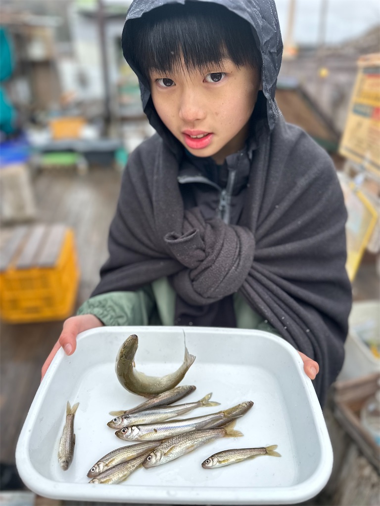 f:id:midorisuke:20240218080341j:image