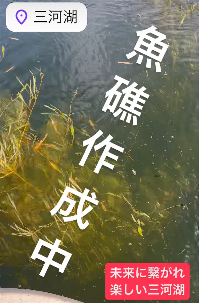 f:id:midorisuke:20240526103651j:image