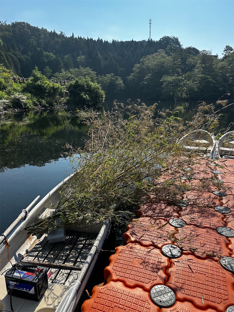 f:id:midorisuke:20240615134503j:image