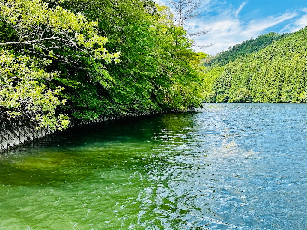 f:id:midorisuke:20240615134637j:image