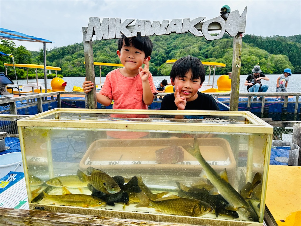 f:id:midorisuke:20240615134845j:image