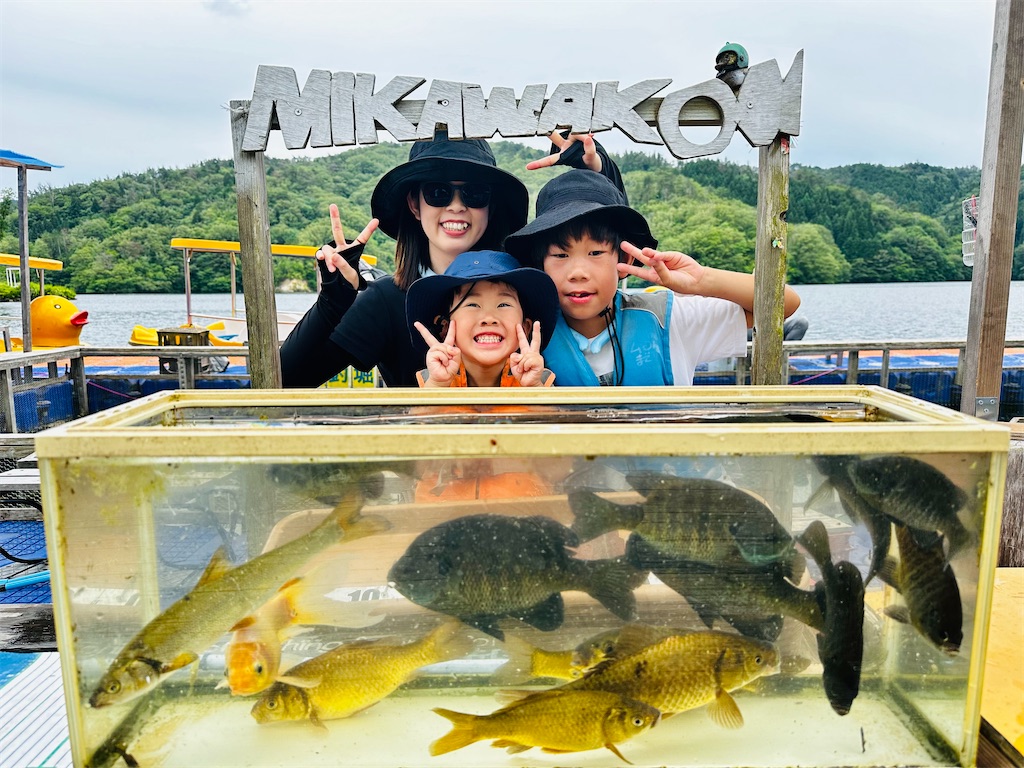 f:id:midorisuke:20240615134902j:image