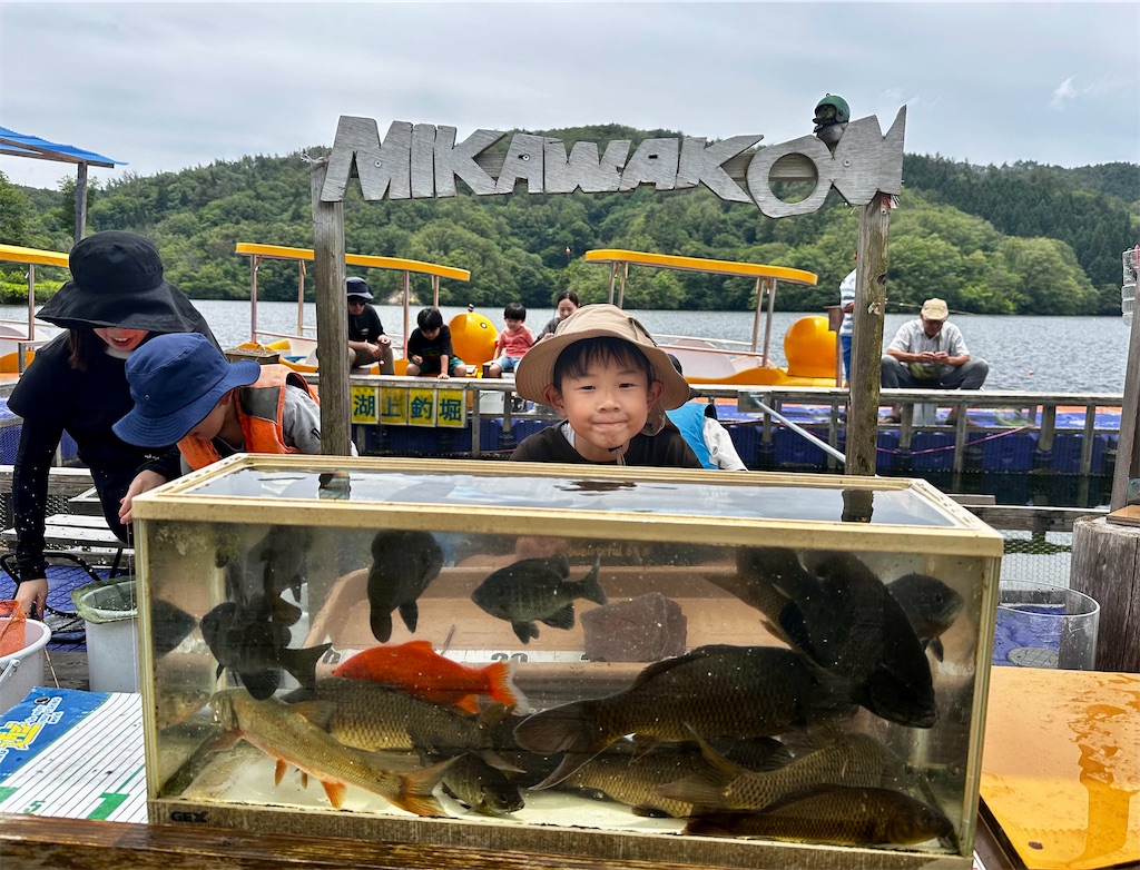 f:id:midorisuke:20240615134905j:image