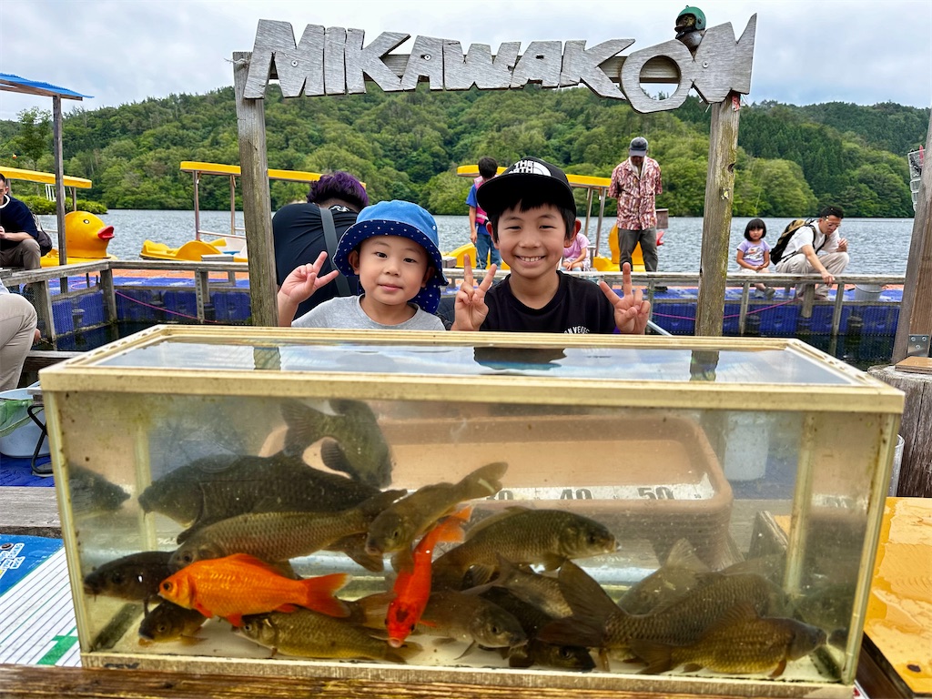 f:id:midorisuke:20240615142132j:image